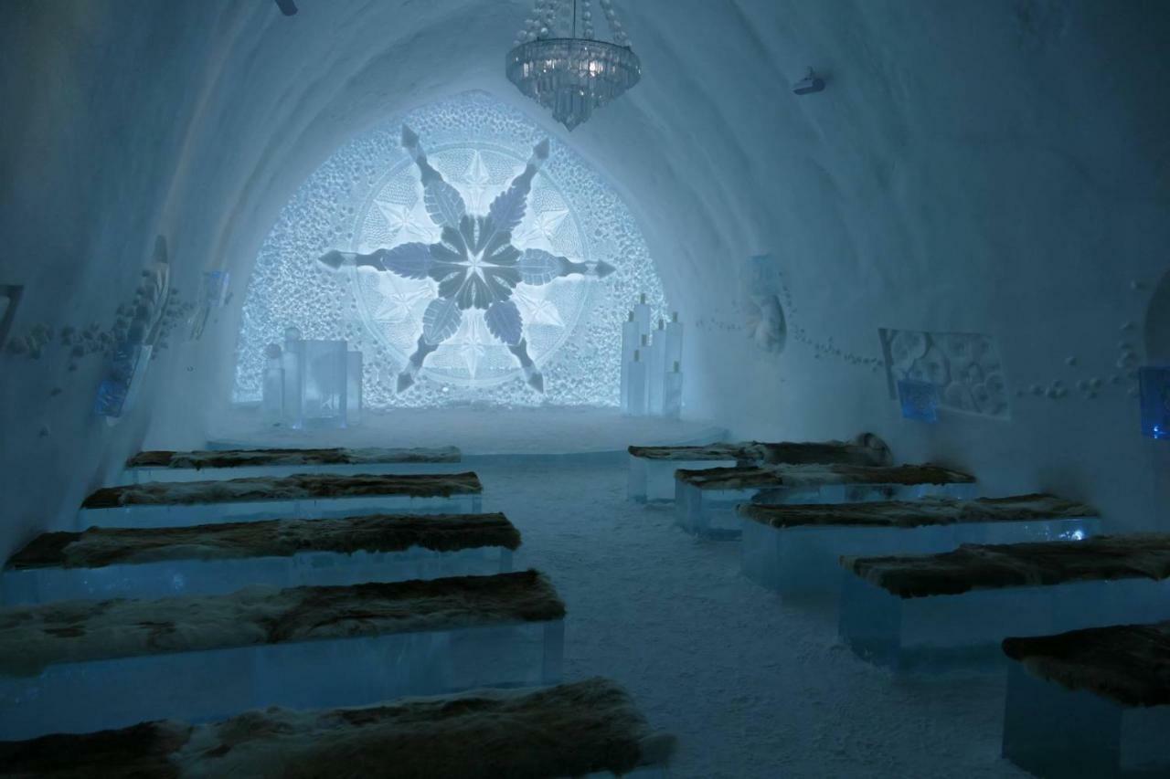 The Northern Light